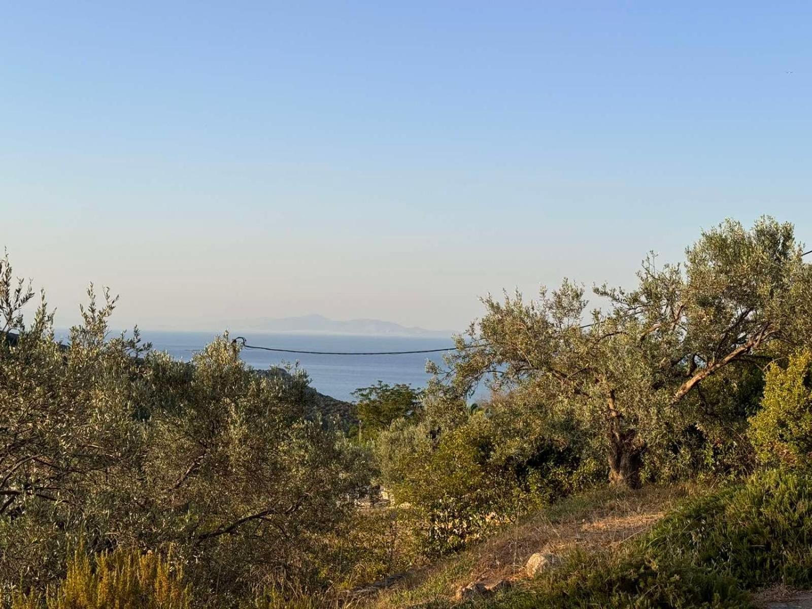 Fousa Holiday home